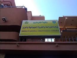 download - 2025-10-07T213741.897