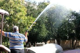 download - 2025-10-08T204229.667