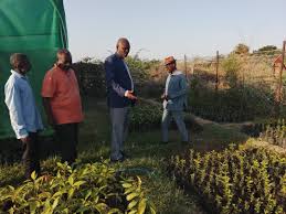 download - 2025-10-13T220205.211