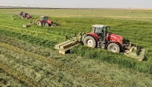 download - 2025-10-22T205849.244