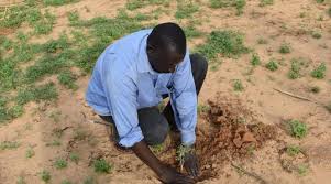 download - 2025-10-23T211333.728