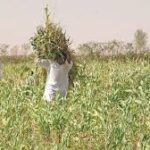 download - 2025-11-10T202509.602