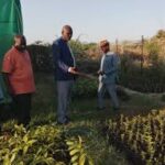 download - 2025-11-16T202720.429