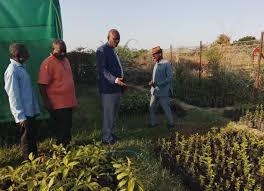 download - 2025-11-16T202720.429