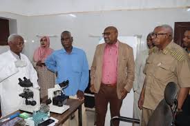 download - 2025-11-17T225524.846