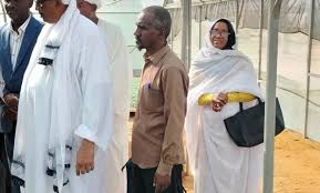 download - 2025-11-17T225809.418