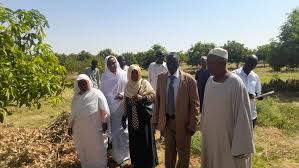 download - 2025-12-01T220247.588