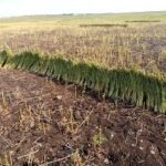 download - 2025-12-11T204901.003